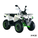 Квадроцикл Mikilon Hammer 200L Pro-R (С лебедкой)