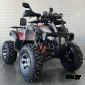 Квадроцикл 200 ALL ROAD (2022 г.)