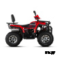 Квадроцикл WHITE SIBERIA BARS 200CC PRO