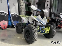 Квадроцикл BSE XT1 PRO SPORT
