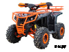 Квадроцикл IRIDE IRIDE RINO SUPER 125 3+1