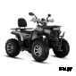 Квадроцикл WHITE SIBERIA BARS 200CC PRO