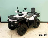 Квадроцикл BASHAN EXPLORER 300 BASIC