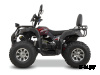 Квадроцикл Grizzly 200 Premium