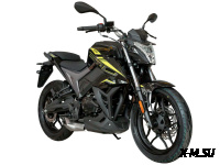 Мотоцикл ATAKI BATLLO (4T PR300) 17/17