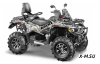 Квадроцикл STELS ATV010 (TE) ГЕПАРД 2.0 K01 EPS GN