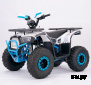 Квадроцикл  YACOTA SIRIUS 110			 			