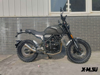 Мотоцикл Regulmoto FARGO 300