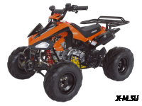 Квадроцикл ABM SCORPION 125A