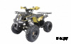 Квадроцикл ATV Termit TT Cross