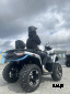 Квадроцикл MOTOLAND (МОТОЛЕНД) 300 MAX X (с ПСМ)