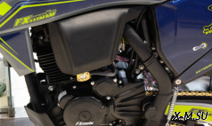 Кроссовый мотоцикл FXmoto MADHAWK (NB300F) 21/18
