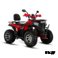 Квадроцикл WHITE SIBERIA BARS 200CC PRO