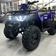 Квадроцикл PROMAX WILD 300